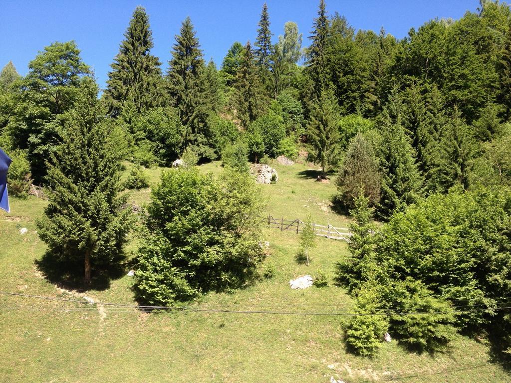 Non Nobis Dambovicioara Villa Cameră foto